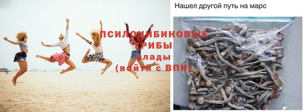 таблы Алзамай