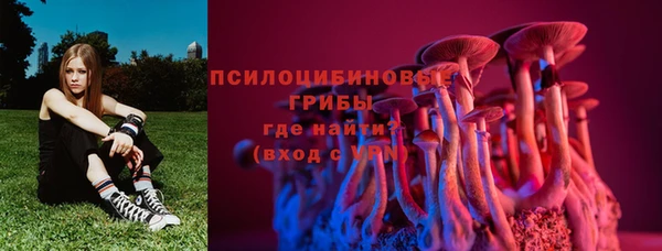 стаф Краснотурьинск