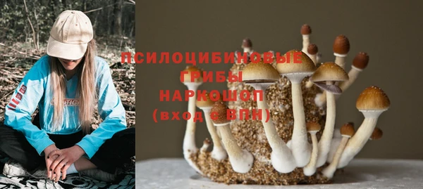 стаф Абинск