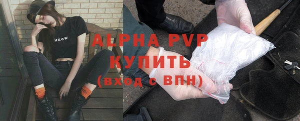 стаф Абинск