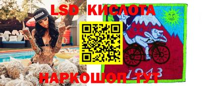 spice Кингисепп
