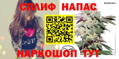 spice Кингисепп
