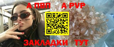spice Кингисепп