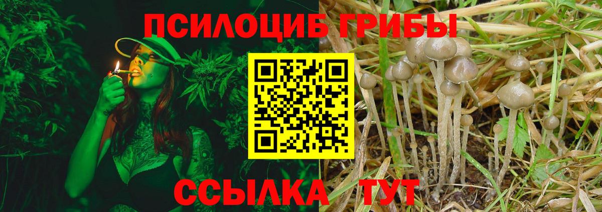 Псилоцибиновые грибы MAGIC MUSHROOMS  Псилоцибиновые грибы Cubensis  Вход с VPN  Хабаровск 