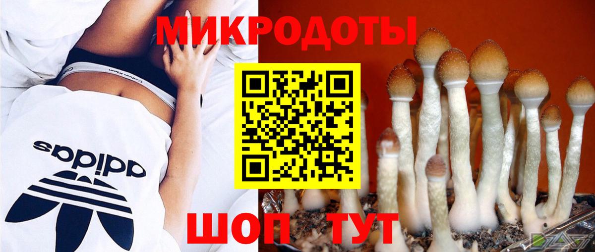 Псилоцибиновые грибы мухоморы Хабаровск